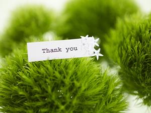 DMの効果とDM発送作業について