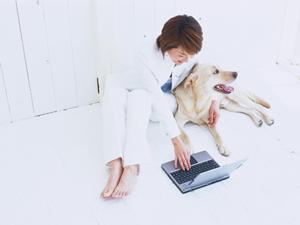 監視カメラは信頼の実績塚本無線